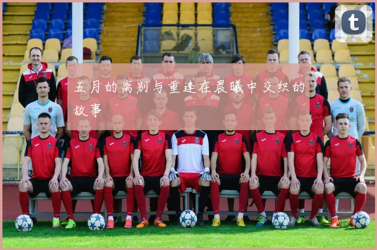 五月的离别与重逢在晨曦中交织的故事